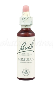 Mimulus - Čarodejka škvrnitá 20 ml - bachove kvapky